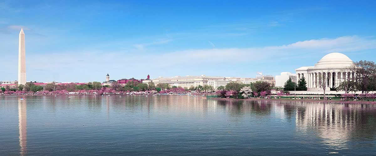 Washington DC Skyline